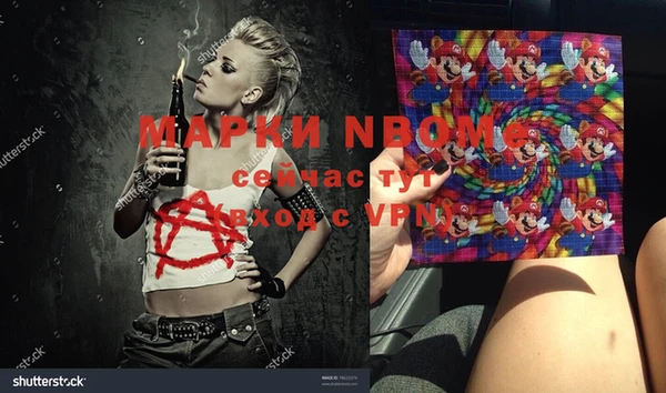индика Корсаков