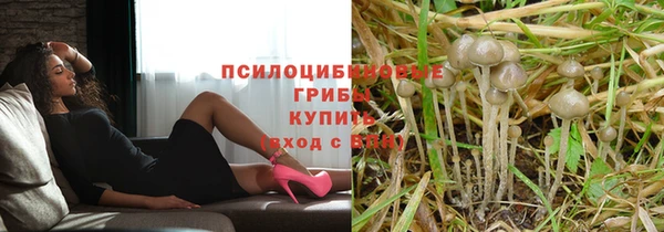 2c-b Алзамай