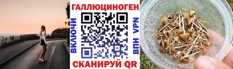 Галлюциногенные грибы мицелий  KRAKEN ONION  Саров  купить наркоту 